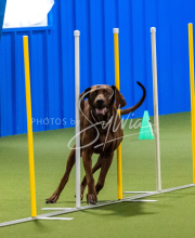 25-1-19-Sun-KathySeminar-678