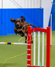 25-1-19-Sun-KathySeminar-692