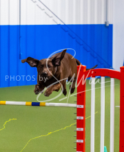 25-1-19-Sun-KathySeminar-693