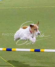 1-18-25-Kathy-W-Seminar-102