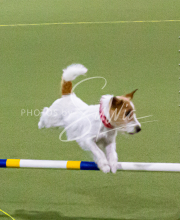 1-18-25-Kathy-W-Seminar-103