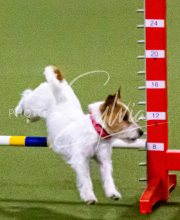 1-18-25-Kathy-W-Seminar-104