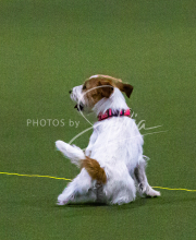 1-18-25-Kathy-W-Seminar-113