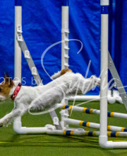 1-18-25-Kathy-W-Seminar-114