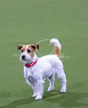 1-18-25-Kathy-W-Seminar-119