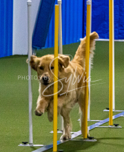 1-18-25-Kathy-W-Seminar-120