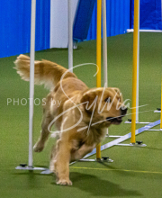 1-18-25-Kathy-W-Seminar-121