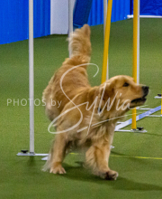 1-18-25-Kathy-W-Seminar-122