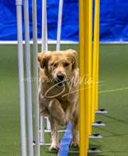 1-18-25-Kathy-W-Seminar-124