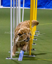 1-18-25-Kathy-W-Seminar-127