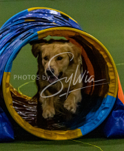 1-18-25-Kathy-W-Seminar-128