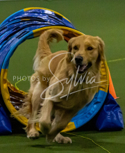 1-18-25-Kathy-W-Seminar-131