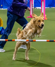 1-18-25-Kathy-W-Seminar-133