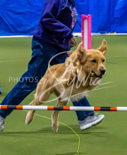 1-18-25-Kathy-W-Seminar-134