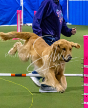 1-18-25-Kathy-W-Seminar-136