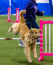 1-18-25-Kathy-W-Seminar-137