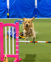 1-18-25-Kathy-W-Seminar-138