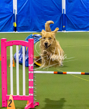 1-18-25-Kathy-W-Seminar-139