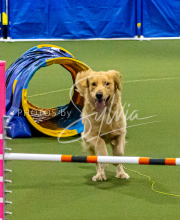 1-18-25-Kathy-W-Seminar-142