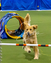 1-18-25-Kathy-W-Seminar-143