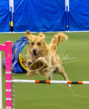 1-18-25-Kathy-W-Seminar-144