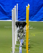 1-18-25-Kathy-W-Seminar-150