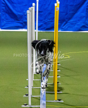 1-18-25-Kathy-W-Seminar-152