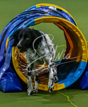 1-18-25-Kathy-W-Seminar-157