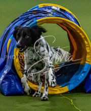 1-18-25-Kathy-W-Seminar-158