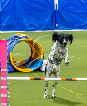 1-18-25-Kathy-W-Seminar-162