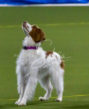 1-18-25-Kathy-W-Seminar-176