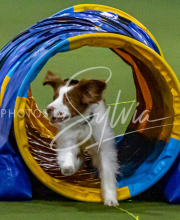 1-18-25-Kathy-W-Seminar-177