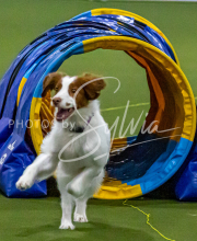 1-18-25-Kathy-W-Seminar-182