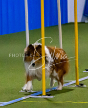 1-18-25-Kathy-W-Seminar-190