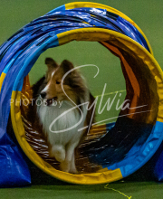 1-18-25-Kathy-W-Seminar-191