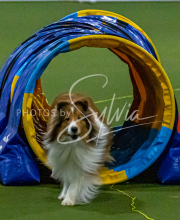 1-18-25-Kathy-W-Seminar-194