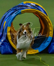 1-18-25-Kathy-W-Seminar-195