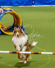 1-18-25-Kathy-W-Seminar-197