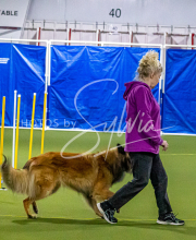 1-18-25-Kathy-W-Seminar-204