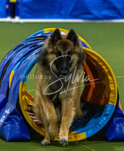 1-18-25-Kathy-W-Seminar-213