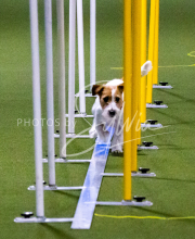 1-18-25-Kathy-W-Seminar-216