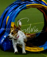 1-18-25-Kathy-W-Seminar-220