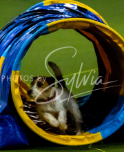 1-18-25-Kathy-W-Seminar-221