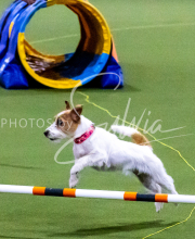 1-18-25-Kathy-W-Seminar-224