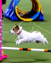 1-18-25-Kathy-W-Seminar-225