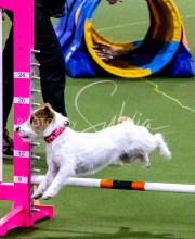 1-18-25-Kathy-W-Seminar-226