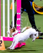 1-18-25-Kathy-W-Seminar-227