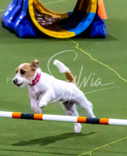 1-18-25-Kathy-W-Seminar-228