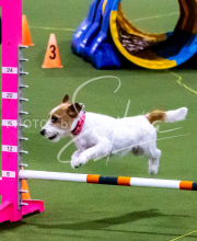 1-18-25-Kathy-W-Seminar-229