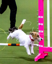 1-18-25-Kathy-W-Seminar-230